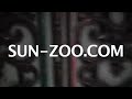 Sun Zoo's American Expatriate: Tour of the Neighborhood
