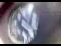 Wolsvagen 7100 a full Wolsvagen 7100 a full