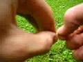 Bushcraft Cordage Making