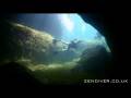 videos de Comino
