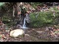 Yuba River Walk