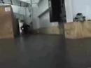 Desporto adaptado .http://www.admb.pt.vu/ Desporto adaptado .http://www.admb.pt.vu/