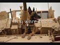 K9 tribute