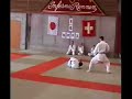 Bunkai mit Shidoin Roger Stucki