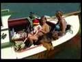 Airedale Terrier video