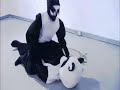 パンダ動画
