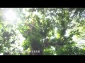 Click here to watch this video Sony NEX-FS700.wmv