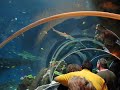 Tunnel Sealife Speyer