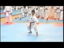 Kata Shitei Seinchin - Ken Ccapa - Jr.