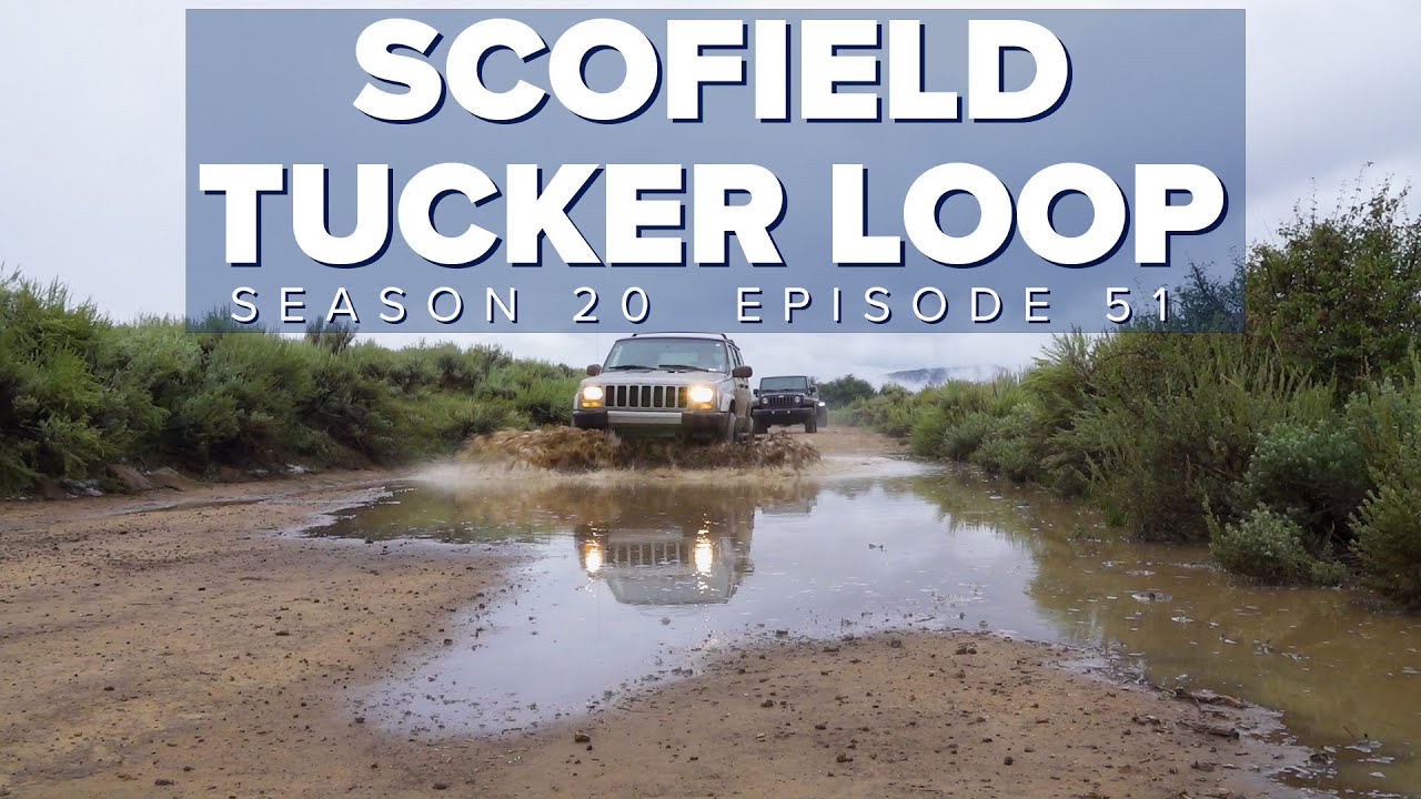 S20 E51: Scofield-Tucker Loop