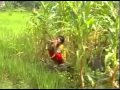 lambai limbai sketsa- Tunggobuk