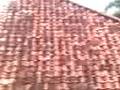 Lompat dari gedung III