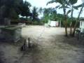 videos de SÃ­tio_galinheiro