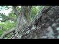 Granby Oak Demo