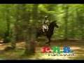 Groton House 1 2008 Training Cross Country HORSE JUMPING