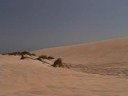 Jeep trials