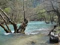 ?BRADI ALABALIK VAD?S?