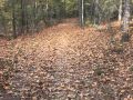 Richard B. Russell State Park's Autumn - YouTube