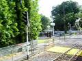 St Lukes Rd Baldwin Ave Auckland NZ aboard Whangarei tourist train
