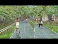 The High Line Design Video The High Line Design Video