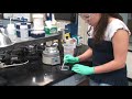 Planaria Observations