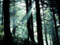 zen garden (de-stress yourself) Relaxation Music
