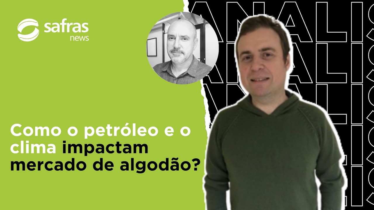 Analista avalia cenário para o mercado de Algodão em meio a conflito no Oriente Médio
