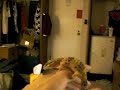 CIMG0580.MOV