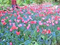 Monet\ Monet\