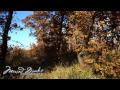 Fall Photography - CANON EOS 350D [HIGH QUALITY]
