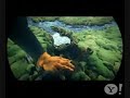Bjork - Wanderlust (Ratatat Remix) + New Video
