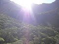 Entramado de raíles en el Barranco del Natero