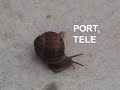 A Slug\