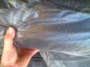 videos de 1472 - 2006 Honda Pilot EXL Silver 50k Forrest Motors