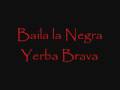 Baila la negra Yerba brava