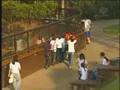 Público enfrenta medo de cobra no Instituto Butantan