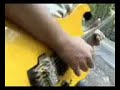 Byaheng Bohol Music video