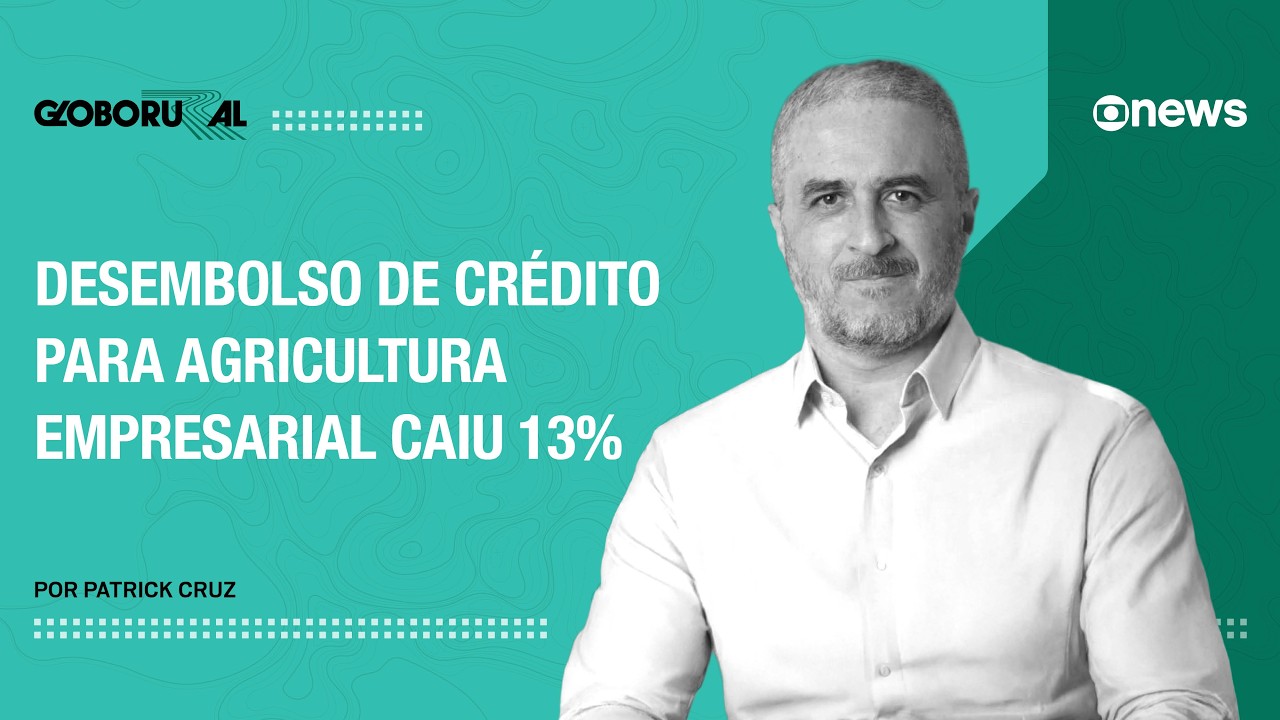 Desembolso de crédito para agricultura empresarial caiu 13% | Globo Rural