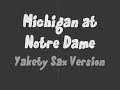 Introducing, Your 2008 Michigan Wolverines!