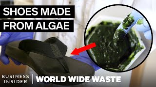 Flip-Flops Made From Plants And Algae Can Help Reduce Plastic Pollution