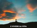 PEARL JAM: IMMORTALITY (go to avalon)