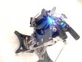 Penguin Dancing Robot with Happy Feet