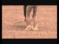 View Video