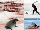 Animales en Peligro de Extinción