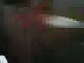 Cachorro que fala !!!