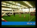 Gare Enjoytogether Agility Dog