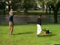 real schutzhund v1