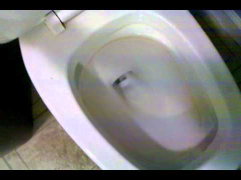 how to unclog a square toilet