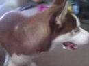 Duke Taining Jennifer
