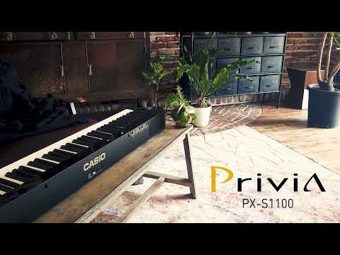 Piano Casio Privia PX-S1100 (New) | Short Movie